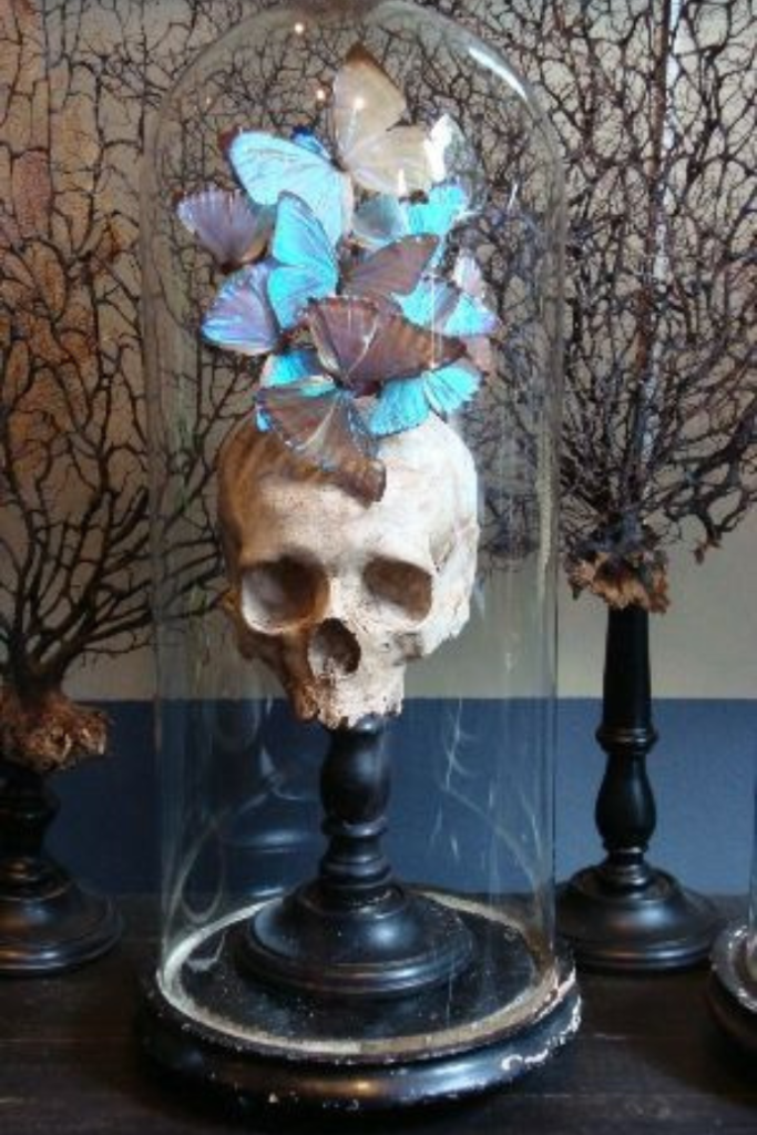 Classy Halloween decor ideas using decorative skull with blue butterflies in a cloche