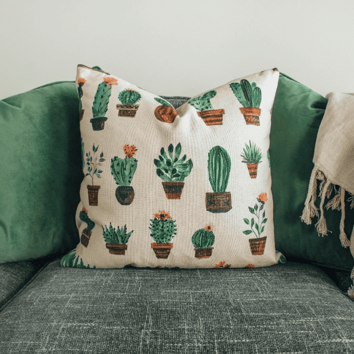 Cactus pillow on a couch with a throw blanket