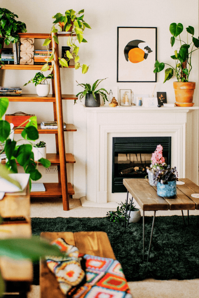 electric fireplace in living room with plants, mantel