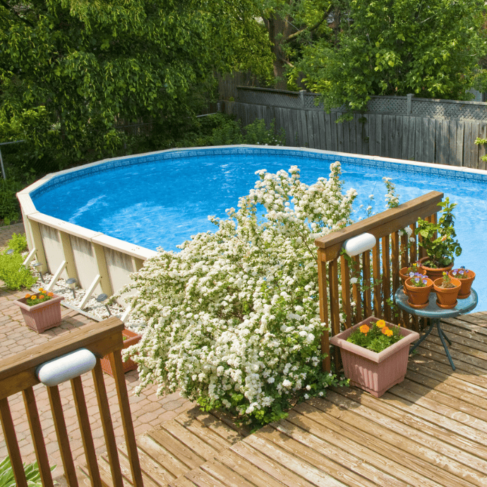above ground pool with deck, plants