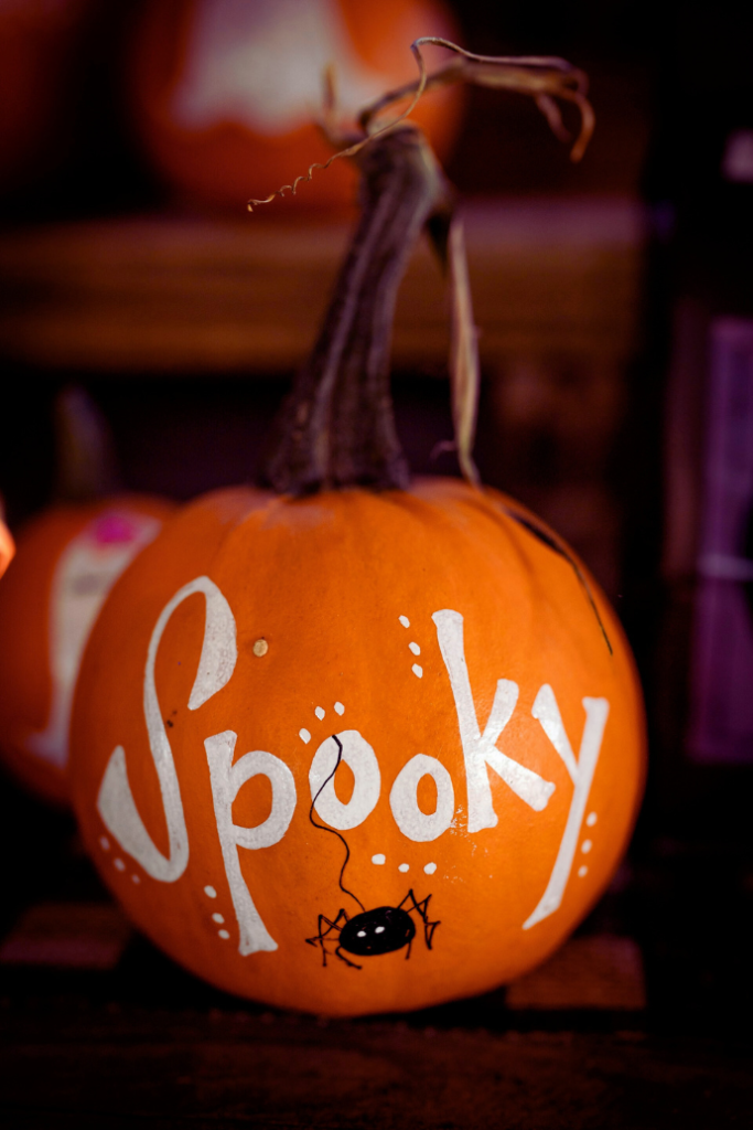 cute, spooky painted halloween pumpkin with spider