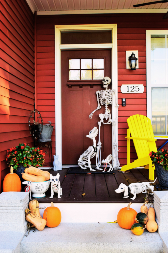 halloween front porch with skeleon, dog skeletons, pumpkins, mums