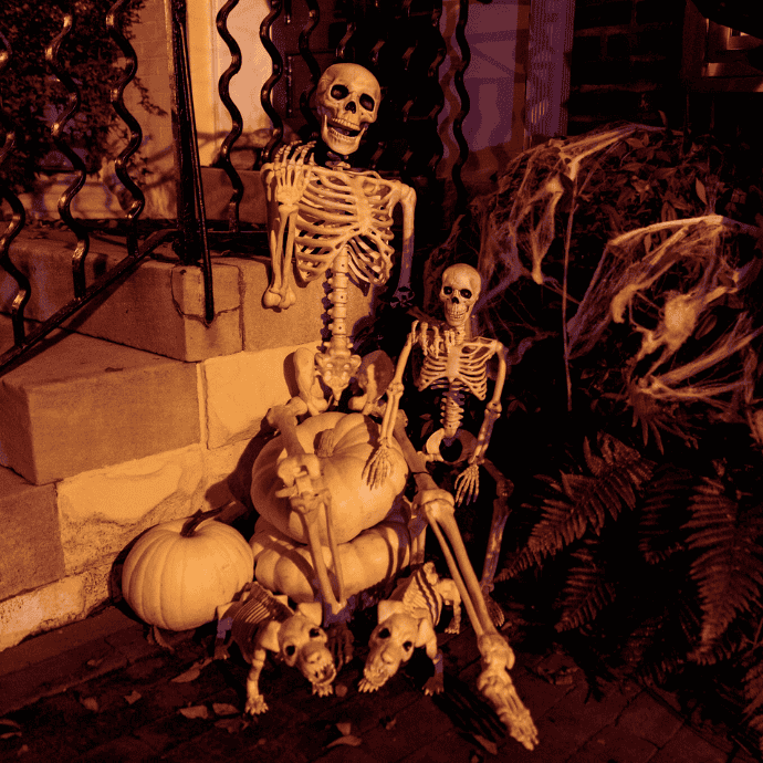 halloween front steps with skeletons, white pumpkins, dog skeletons