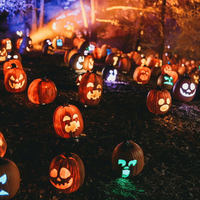 jack-o-lanterns in halloween front yard display