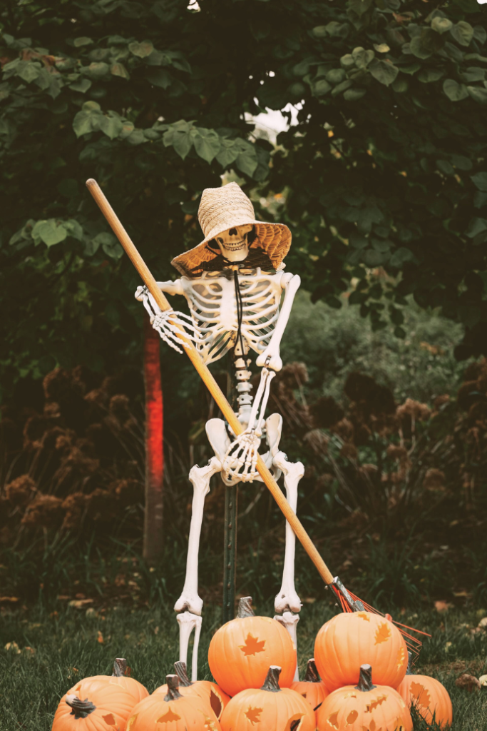 skeleton with jack-o-lanterns in halloween front yard display