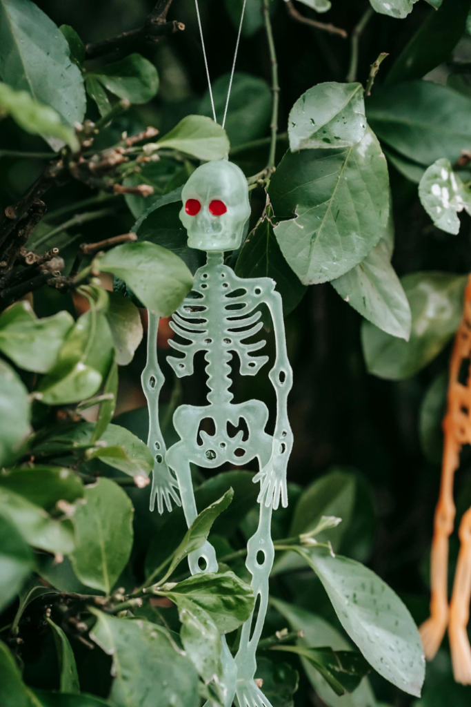 skeleton figurine hanging from plant in garden for halloween