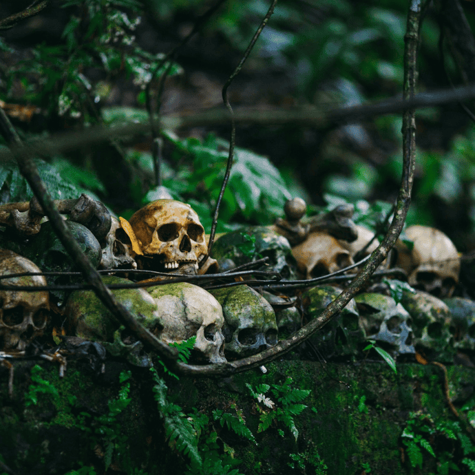 garden with skulls for halloween