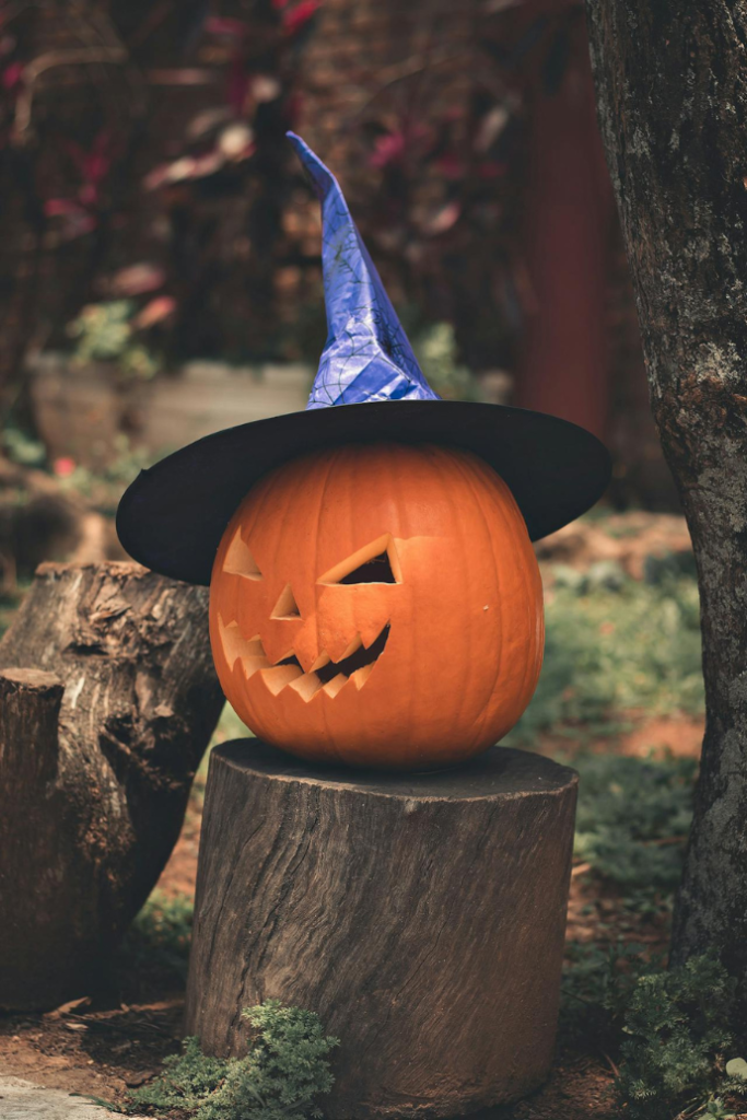 jack-o-lantern with witch hat on stump in garden for halloween