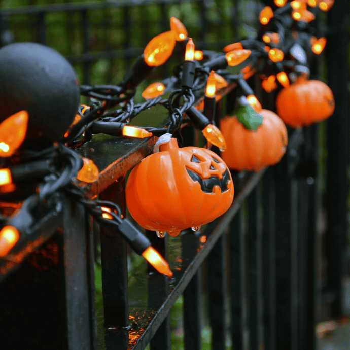 halloween string lights on fence near garden