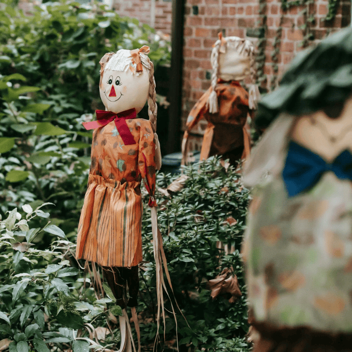 scarecrow in garden for halloween