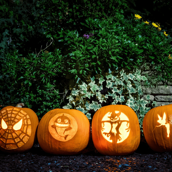 halloween jack-o-lanterns in garden