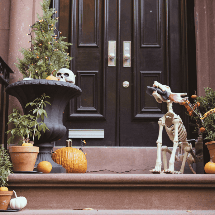 halloween front porch with dog skeleton, skull, pumpkin decorations