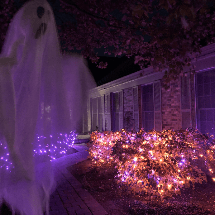 orange and purple halloween string lights in bushes with ghost decoration