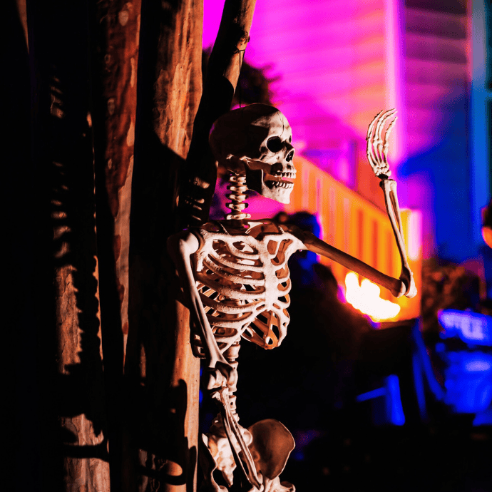 halloween decoration ideas with skeleton in front yard, lighting